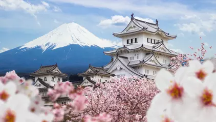 Must-Have Apps to Travel in Japan