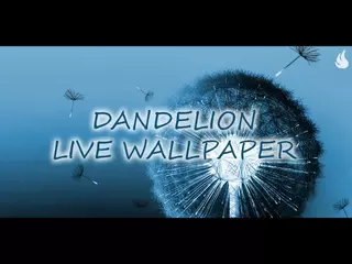 Dandelion Live Wallpaper