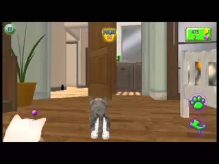 Cat Frenzy 3D Game Play