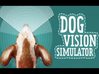 Dog Vision Simulator - Android App