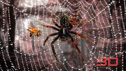 Super Parallax 3D Pack II LWP