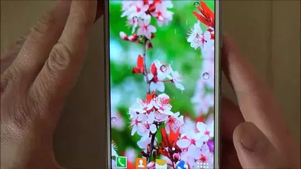 Free cherry blossom live wallpaper with falling 3d sakura for Android phones and tablets