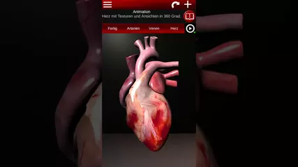 Kreislaufsystem in 3d für Android. De