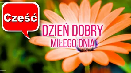 World Greetings : Dzień dobry dobre gify obrazy
