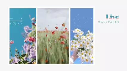 16 9 Wallpaper Video promo 1