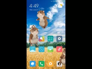 Hamster walking in phone