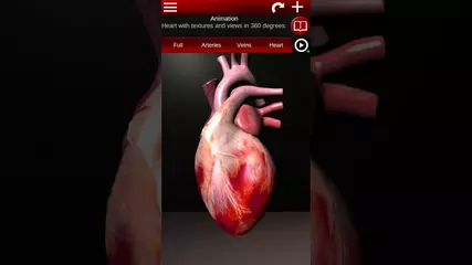 Circulatory system in 3d for android. En