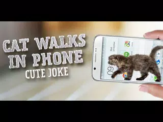Cat Walks in Phone Cute Joke - iCat