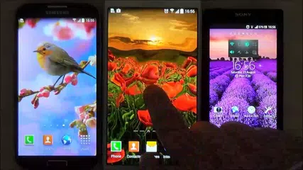 Flowers live wallpaper for android phones and tablets