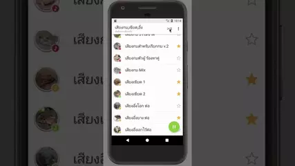 เสียงกบ,เขียด,อึ่ง