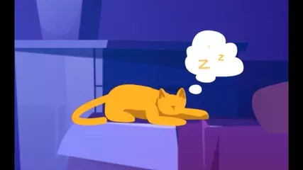 SnoreFree® Health App