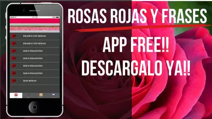 Rosas de Amor con Frases para Enamorar: Imagenes de Rosas-rosas rojas