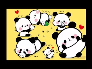 Wallpaper Mochi Mochi Panda Apk 2 31 26 For Android Download Wallpaper Mochi Mochi Panda Xapk Apk Bundle Latest Version From Apkfab Com