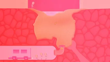 Escape v162 03EscapeDom 1920x1080 30s ICH UNV