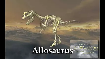 Body Disassembly 3D video trailer