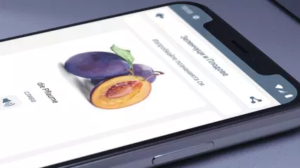 Научете немски