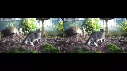 VidStab FFMPEG video stabilization test