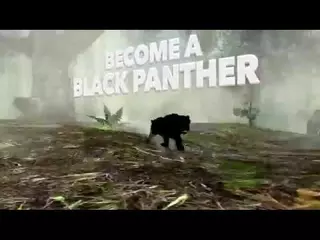 Panther Simulator: Game Trailer for iOS and Android