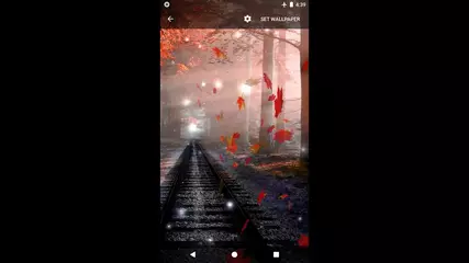 Autumn Maple Live Wallpaper APK  for Android – Download Autumn Maple Live  Wallpaper APK Latest Version from 