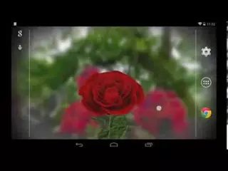 3d Rose Wallpaper Download For Android Mobile Image Num 64
