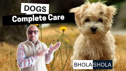 Bhola Shola - We Care for your Puppy | Dog | Pets | Harwinder Singh Grewal
