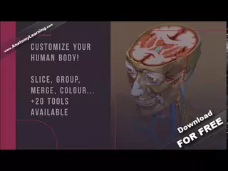 AnatomyLearning Promo 2019