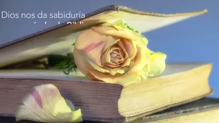 Biblia Católica sin internet