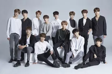 無料でセブンティーン Seventeen 壁紙 写真 Apkアプリの最新版 Apk1 2 0をダウンロード Android用 セブンティーン Seventeen 壁紙 写真 アプリダウンロード Apkfab Com Jp