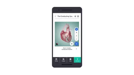 Teach Me Anatomy Mobile Application