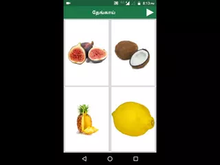 Fruits and Vegetables in Tamil