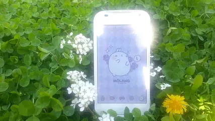 The Colors of Molang on ATOM Launcher