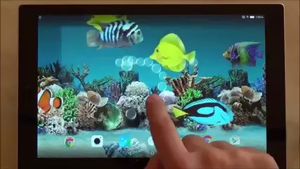 Coral Fish 3D Live Wallpaper APK  for Android – Download Coral Fish 3D  Live Wallpaper APK Latest Version from 