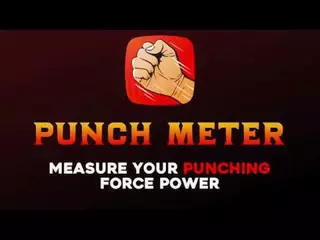 PUNCH METER   Measure your punching power force