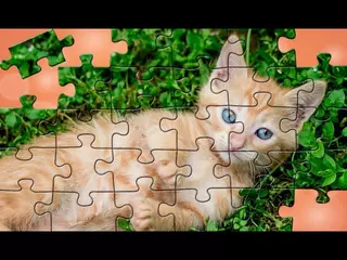 Puzzles for all