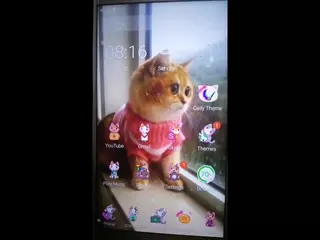 3D Cute Cat Live Launcher Theme🐱- CM LAUNCHER