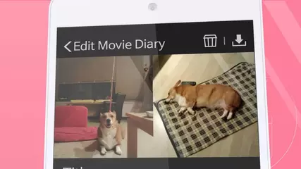 Cozy Camera Movie Diary_Cozy's Birthday