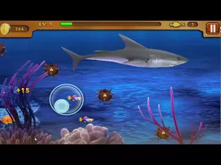 Shark Island 2018 by Joybox