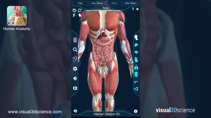 Human Anatomy App