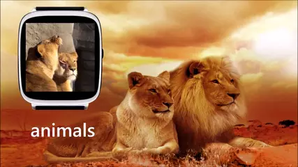 1000 animated watchface