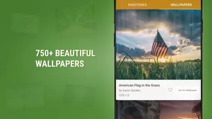 FRFA promo_EN_bez free_24s