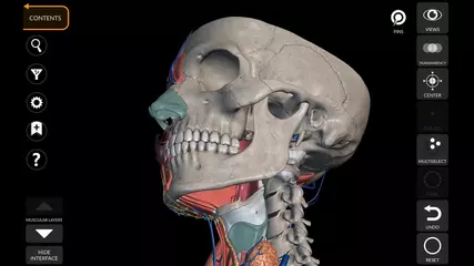 Anatomy 3D app 2021