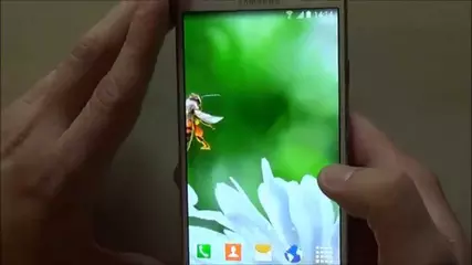 Daisies live wallpaper for Android phones and tablets