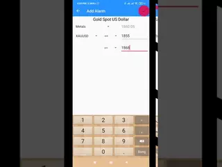 forex alert - basic using