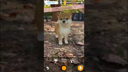 [ with My DOG ]  A dog simulation app for Android/iOS