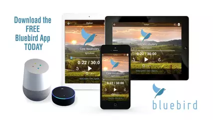 Learn 163 Languages in any of 146 languages