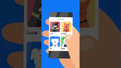 Pawscout video animation short