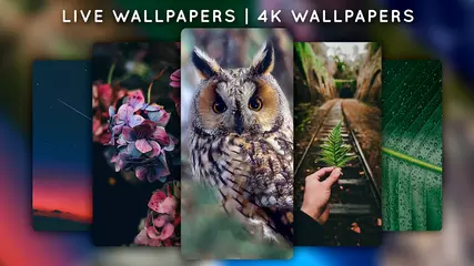 無料で ライブ壁紙 ダイナミック 壁紙 無料 背景 4k 3d Walloop Apkアプリの最新版 Apk12 3をダウンロードー Android用 ライブ壁紙 ダイナミック 壁紙 無料 背景 4k 3d Walloop Apk の最新バージョンをダウンロード Apkfab Com Jp