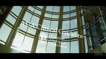 American Urological Association (AUA) Clinical Guidelines