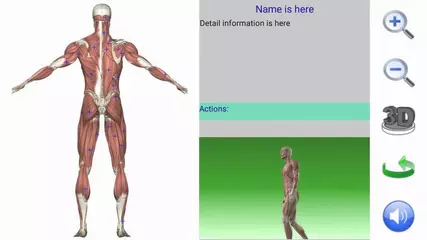 Visual Anatomy App Demo