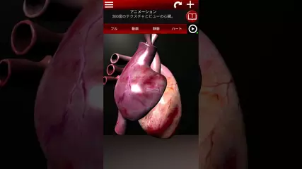 アンドロイドのための循環系。